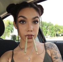 О конопле (просто немного статистики)