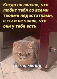 Комментарии и картинки из соцсетей. Свежак за 6 декабря