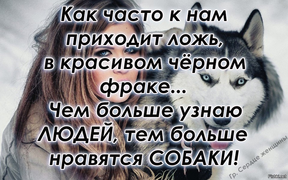 Я пришел к вам в черном фраке. Чем больше узнаю людей тем больше мне нравятся собаки. Чем больше узнаю людей тем. Чем больше познаю людей тем больше нравятся собаки. Чем больше узнаю людей тем больше люблю животных.