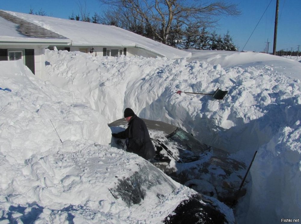 Опять питерские жалобы на снег. Что характерно, каждую зиму 

Объясните им кто-нибудь, что в нашей полосе, снег зимой - это нормально! И это при том, что в питере настоящих сугробов никогда не видели