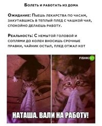 Комментарии и картинки из соцсетей. Свежак за 7 декабря