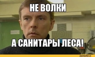 Погоня сотрудников ДПС за быком попала на видео
