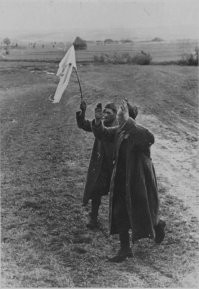 Пусть исподники свои на палку натянут и маршируют под ними. Позорники.