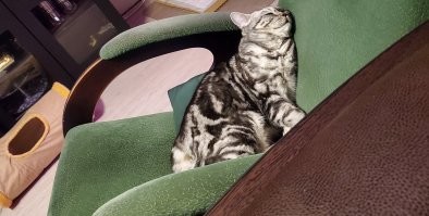 Вот моя. Умывалась, умывалась - утомилась! Сидя уснула.