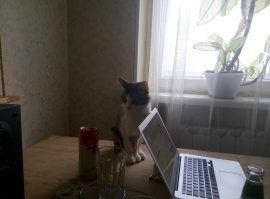 Да ладно тебе на понт брать.  Если хочешь подробнее про квартиру узнать - спроси.  Сын снимал двухкомнатную квартиру вдвоем с другом. С каждого по 25,итого - 50 тыс. плюс коммуналка. Квартира практически без ремонта,но практически в центре, адрес Тверская 6. Многие говорили, что крупно повезло. Могу даже скинуть фото внутри и вид из окна(во двор). 
 Заодно - фото из моего родного г. Катайска.