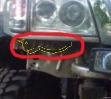 25 мастеров камуфляжа с идеальной маскировкой