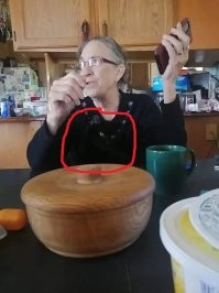 25 мастеров камуфляжа с идеальной маскировкой