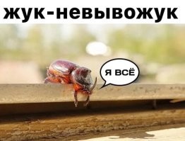 Философы из соцсетей, которые вновь заставили нас удивиться и задуматься
