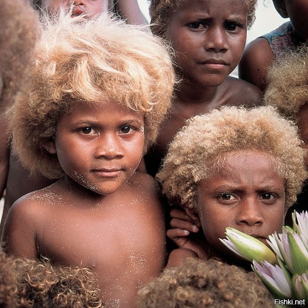 Папуасы. Или, если быть совсем точным - помесь полинезийцев с меланезийцами.
На Соломоновых островах они вообще блондинами часто бывают.