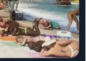 Ну... Не сказать, что прям вообще всё плохо.