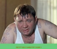"У малышей должен быть праздник!": в Гамбурге хотят наказать мужчину, установившего в детсаду нарядную ёлку вопреки решению педсостава