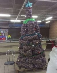 Белорусская ёлка...