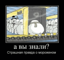 Детские запросы на Новый год, которые пришлось исполнить родителям