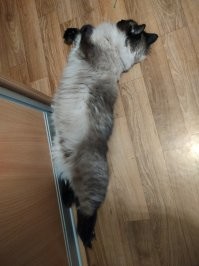 Где упал, там и спит...