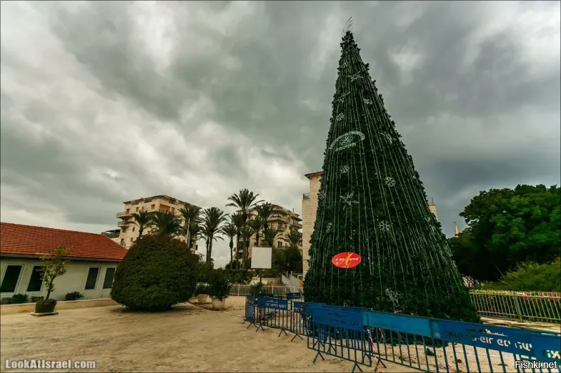 елка в Яффо,Израиль.из бумаги и картона