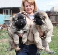 Можно с кавказцем:

Или даже с двумя: