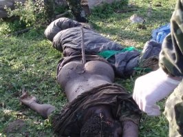 "Секс для них - средство защиты от печали и пустоты":  в Германии восемь из девяти мигрантов избежали тюрьмы за изнасилование 15-летней девочки