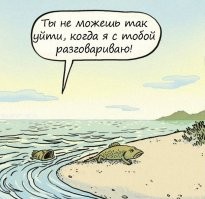 Индоавстралийская кошачья акула: научилась свободно гулять по побережью и живёт без воды 2 часа