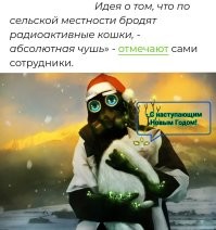 "Атомные кошки" терроризируют английские деревни