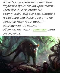 "Атомные кошки" терроризируют английские деревни