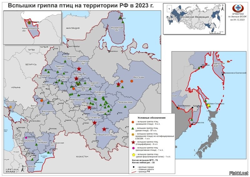 У меня вопрос, а почему на всех ресурсах я вижу десять новостей про истерию и истеричек и ноль про какие то реальные события?

Наберите в поиске "птичий грипп" или например, "падеж птиц на птицефабрике" и вы увидите, что России в этом году сильно досталось, было несколько вспышек и когда читаешь новость, что какая то фабрика попала под раздачу и сократила поголовье курей до 40%, есть подозрение, что это скажется не только на цене мяса(если речь про бройлеры) но и, собственно, на яйца. 

Сколько таких вспышек было в этом году по другим регионам? Ну лять, смиритесь, этот год выдался "неурожайным" на птиц....Печально, но никакого заговора тут нет.

P.S. Вот карта неблагополучных регионов этого года, найдите свой, увидите красную звезду, можете себя поздравить...