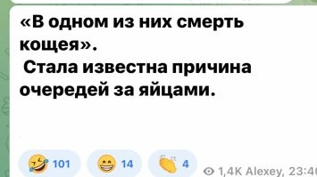20 штук в одни руки: в Белгороде люди снова выстроились в очередь за дешёвыми яйцами