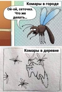 Мемы из соцсетей. Свежак за 11 декабря