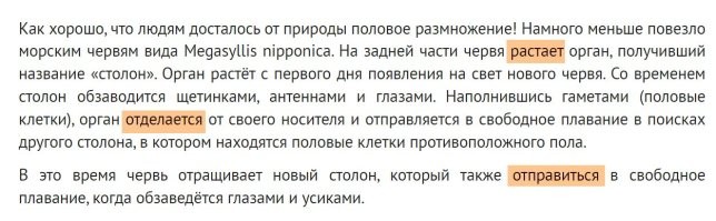 Автор, скажи что ты не специально.