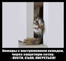 Мемы из соцсетей. Свежак за 11 декабря