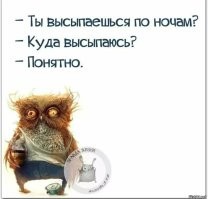 Как спят киты, пингвины, дельфины и ластоногие?