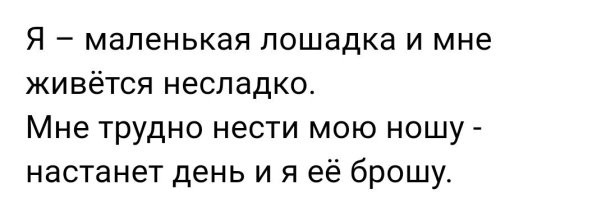 Галицено: лошади размером с пони