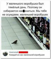 Мемы из соцсетей. Свежак за 11 декабря
