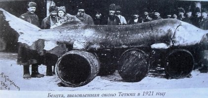 То же сразу вспомнилась эта фотография))))
Из той же серии