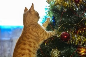 Мой помогатор, лет 5 назад еще)))