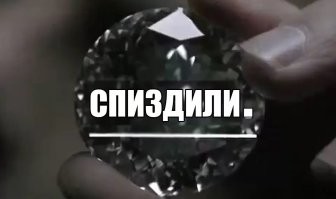 Пёс пожалел, что оставил палку в воде