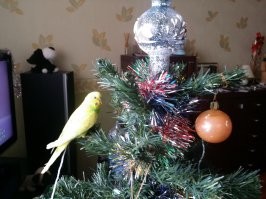 Мои любители движухи