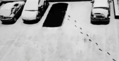 Что произошло?Что произошло? Картинку отзеркалили!