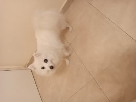 А вот это моя!