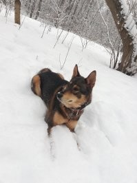 Моя красотка...