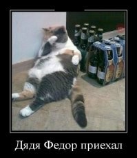 Заметки начинающего алкоголика