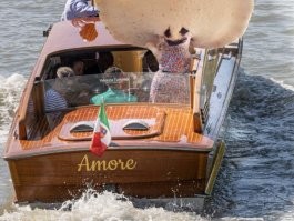 Всё вразнобой&nbsp;