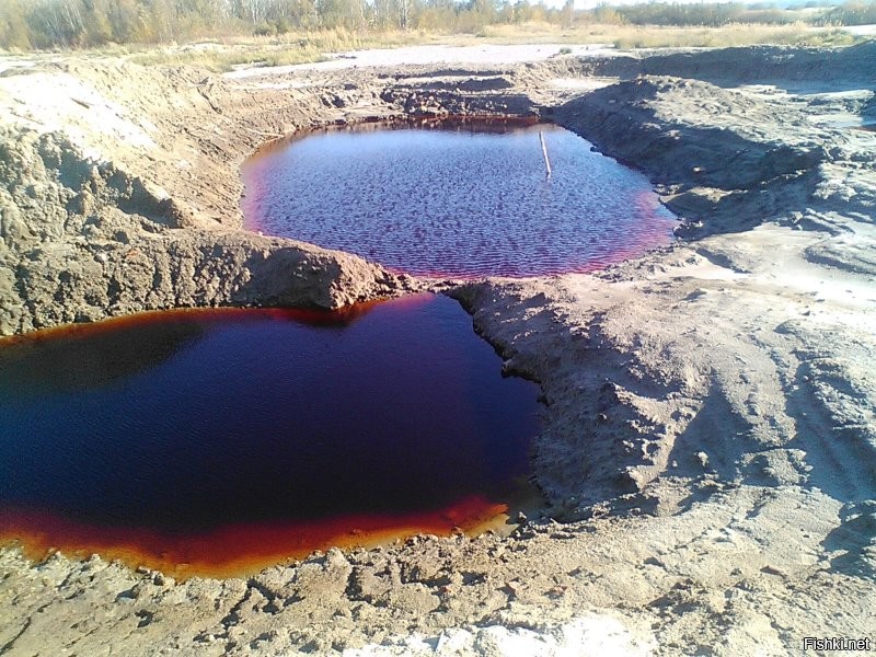 Никакой ответственности за то что вы подобрали кусочек янтаря с песка или выковыривали из водорослей! Чушь пишите. Вы наверняка не поняли слова или прослушали. Собирать мелочь на берегу можно. А вот надевать резиновые штанишки, включать синий фонарь и лезть с сачком в воду НЕЛЬЗЯ. Так же нельзя рыть ямы, и выкачивая оттуда пульпу искать карьерным (в миниатюре) способом. Вот что остаётся после таких раскопок. Это совсем недалеко от моего дома. Я назвала папку с этими фото "Лунный пейзаж". Прошло уже несколько лет, а там по прежнему ничего не растёт. У ближайших жителей нет воды в колодцах или плохая и мало.