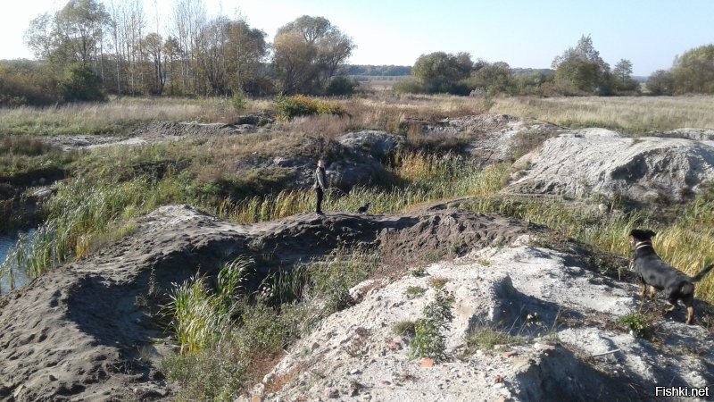 Никакой ответственности за то что вы подобрали кусочек янтаря с песка или выковыривали из водорослей! Чушь пишите. Вы наверняка не поняли слова или прослушали. Собирать мелочь на берегу можно. А вот надевать резиновые штанишки, включать синий фонарь и лезть с сачком в воду НЕЛЬЗЯ. Так же нельзя рыть ямы, и выкачивая оттуда пульпу искать карьерным (в миниатюре) способом. Вот что остаётся после таких раскопок. Это совсем недалеко от моего дома. Я назвала папку с этими фото "Лунный пейзаж". Прошло уже несколько лет, а там по прежнему ничего не растёт. У ближайших жителей нет воды в колодцах или плохая и мало.