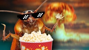 Мужик решил потравить тараканов и устроил дома взрыв