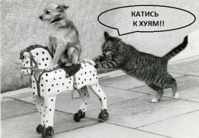 Поклонники Аллы Пугачёвой создали петицию, в которой попросили певицу поздравить россиян с Новым годом