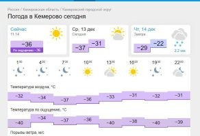 Котики хороши. 
А вот мороз у вас там просто п..ц.