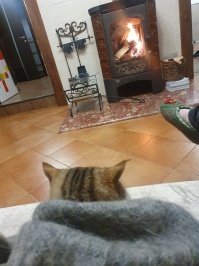 С добрым утром