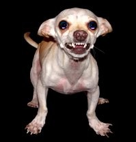 Неправильная фотка.
Вот правильная фотка.