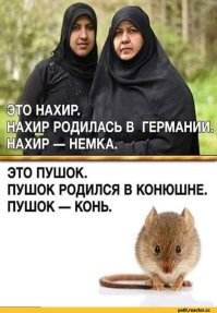 В Швеции учитель дал школьникам задание спланировать теракт
