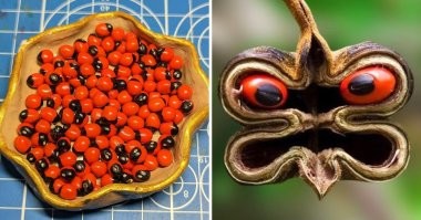 К этой хрени и подходить страшно, не то что трогать ... ))
